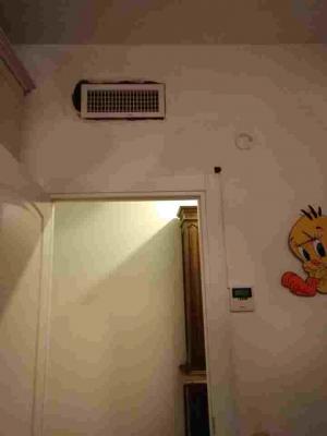 46457950_2077923162267235_3314789144110039040_n